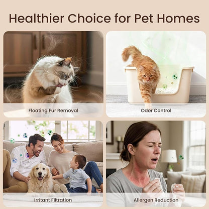 up🔥2026 SALE - Home Pet Fur & Odor Removal Magic Box