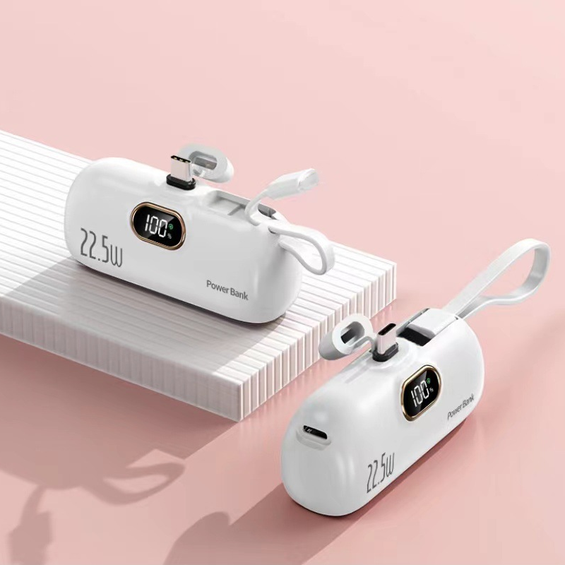 USB-C + Lightning Cable