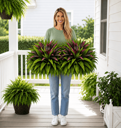 🔥LAST DAY SPECIAL 50% 🌿UV-Resistant Artificial Fern & Red Dracaena Decorative Plants – Full, Lush & Fade-Resistant!