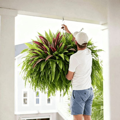 🔥LAST DAY SPECIAL 50% 🌿UV-Resistant Artificial Fern & Red Dracaena Decorative Plants – Full, Lush & Fade-Resistant!